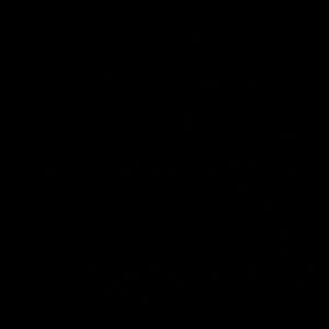 Meet your Posher, Seletha